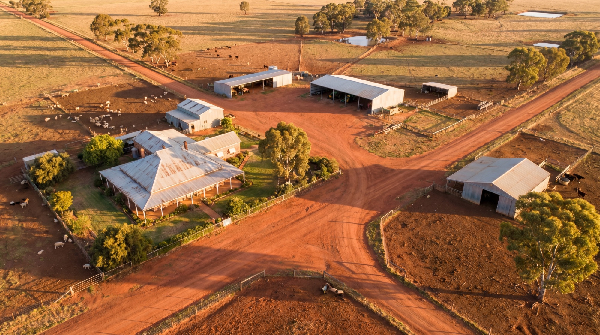 Warm aerial view of a working Australian farm at golden hour.
